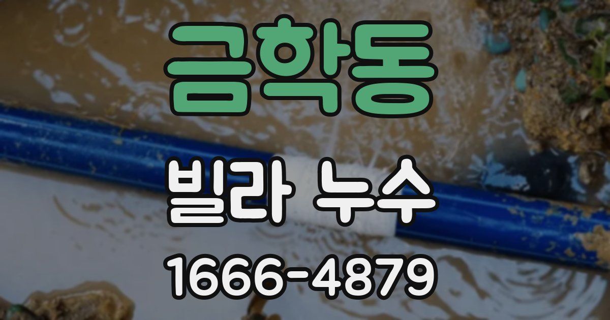 금학동 빌라 누수