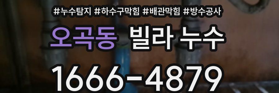 오곡동 빌라 누수