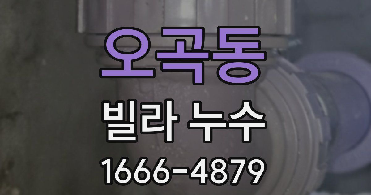 오곡동 빌라 누수