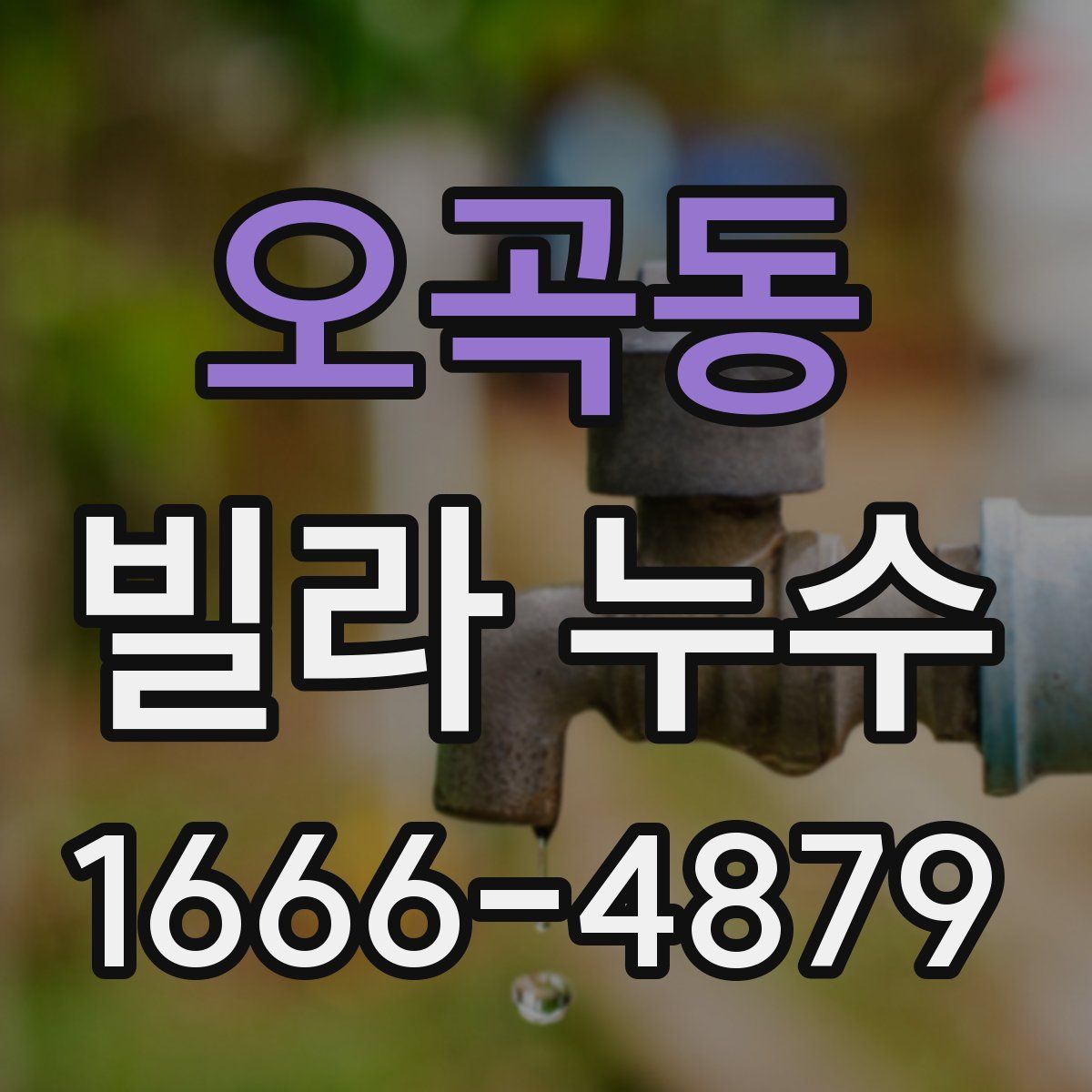 오곡동 빌라 누수