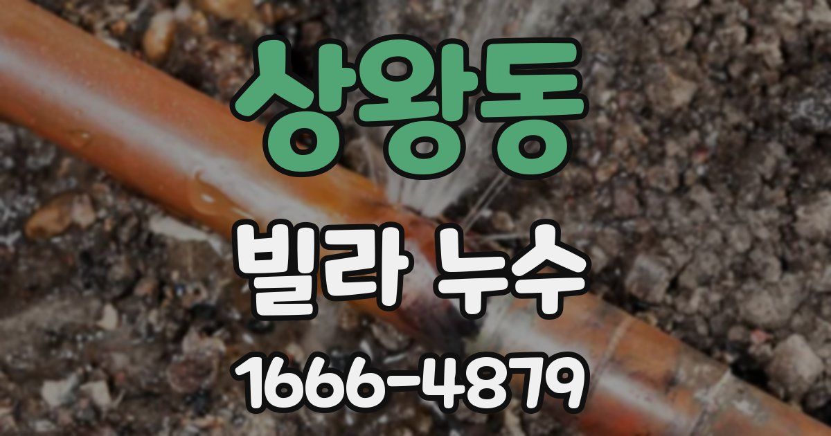 상왕동 빌라 누수