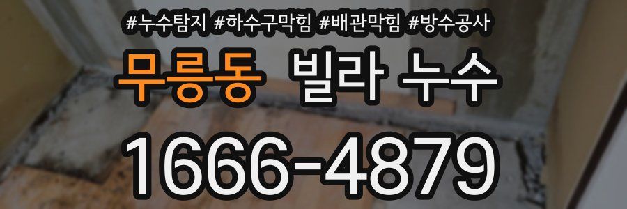 무릉동 빌라 누수