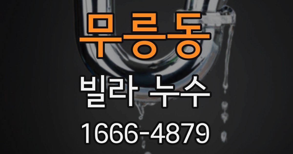 무릉동 빌라 누수