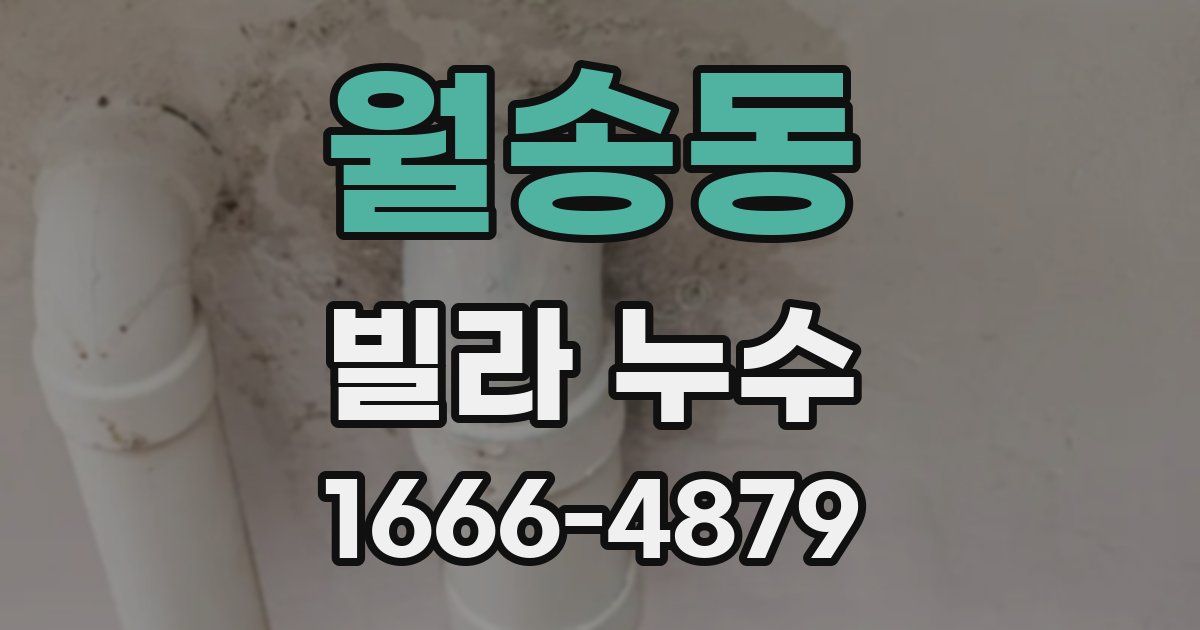 월송동 빌라 누수
