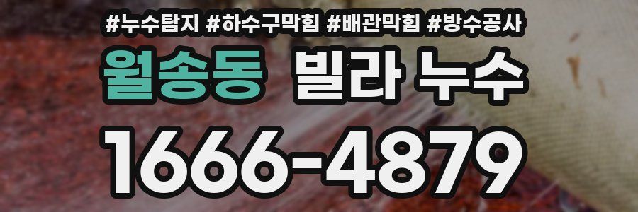 월송동 빌라 누수