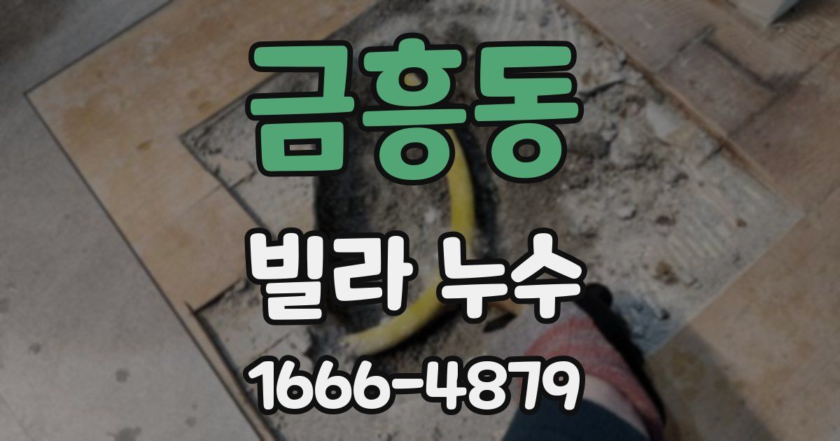 금흥동 빌라 누수