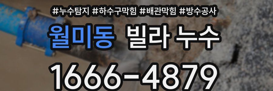 월미동 빌라 누수