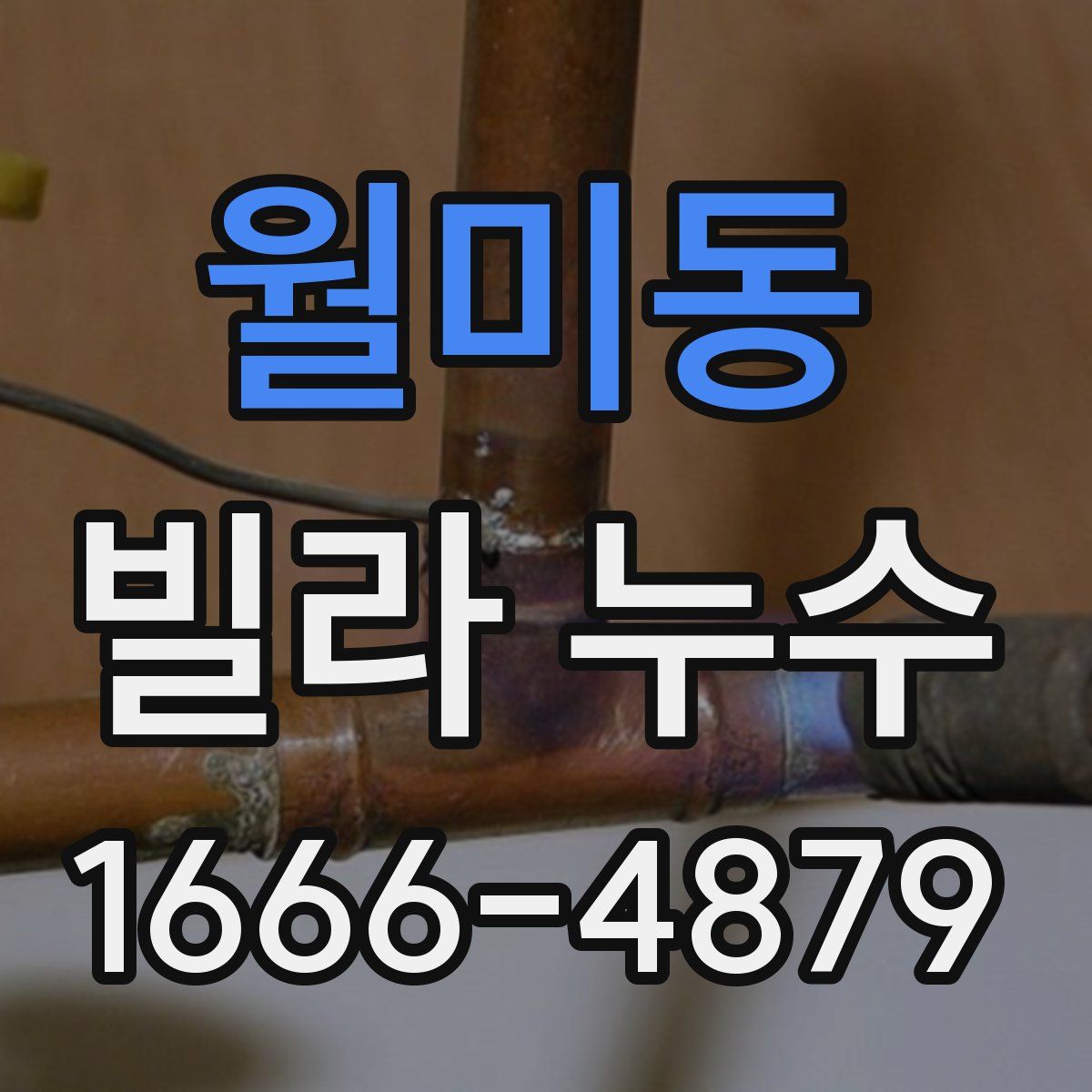 월미동 빌라 누수