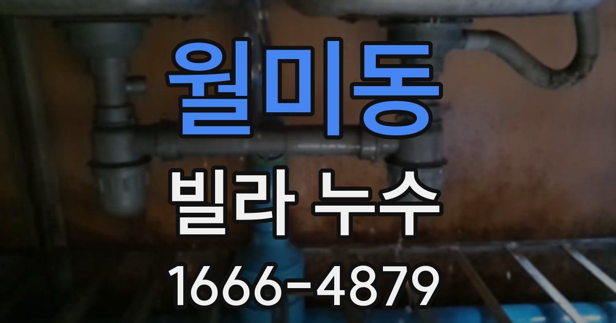월미동 빌라 누수