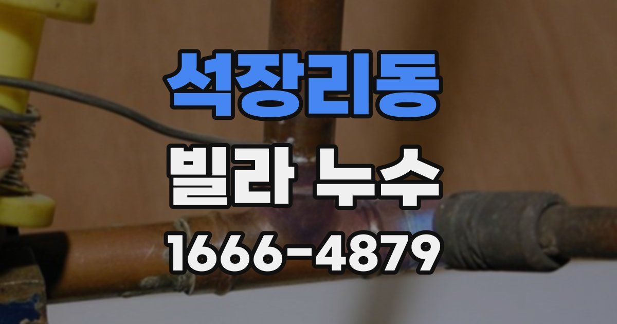 석장리동 빌라 누수