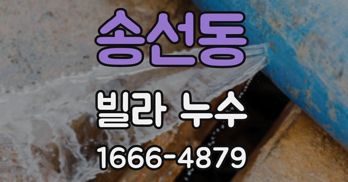 송선동 빌라 누수