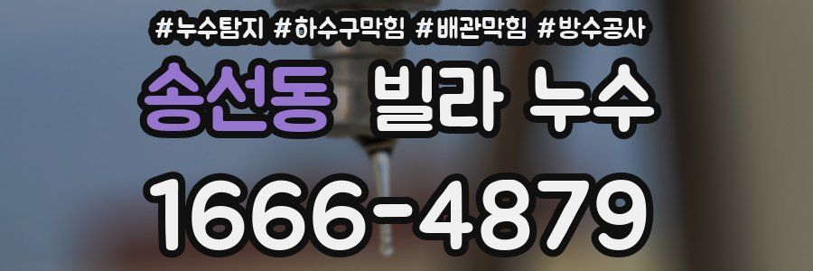 송선동 빌라 누수
