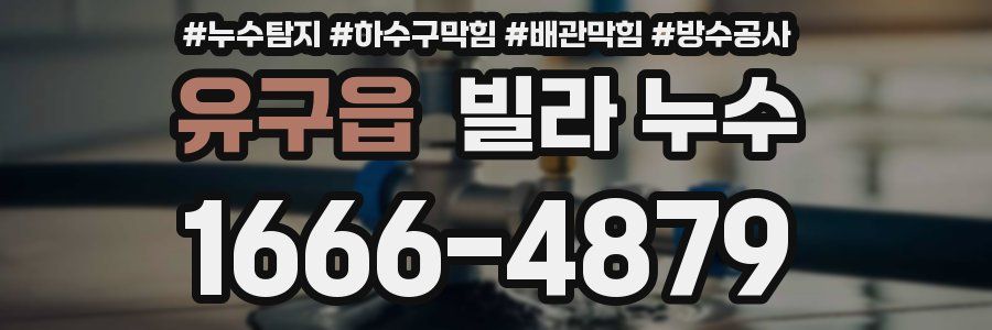 유구읍 빌라 누수