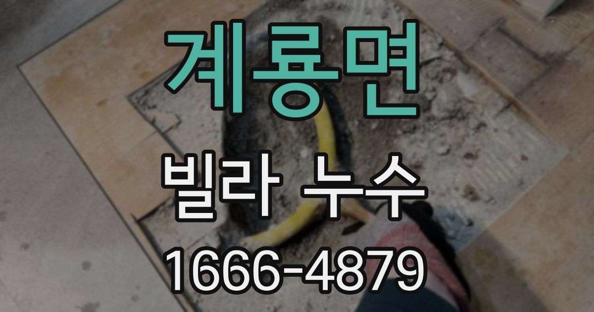 계룡면 빌라 누수