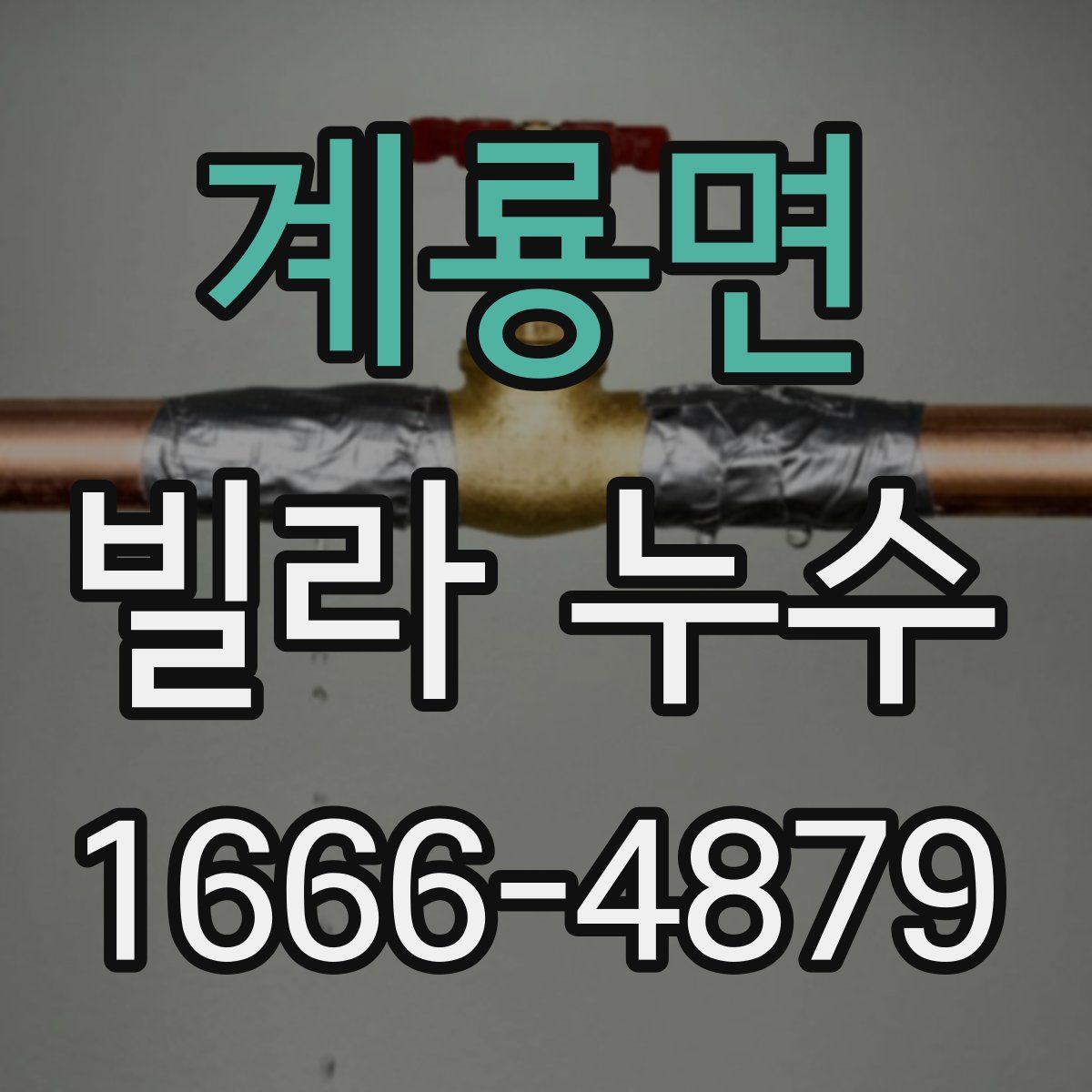 계룡면 빌라 누수