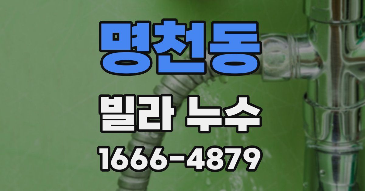 명천동 빌라 누수