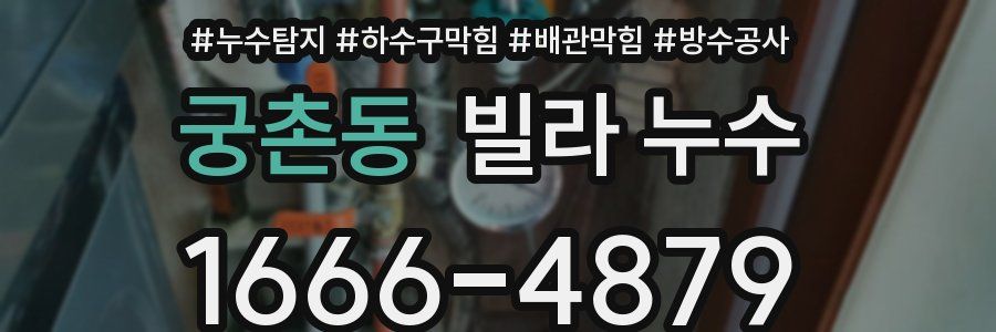 궁촌동 빌라 누수