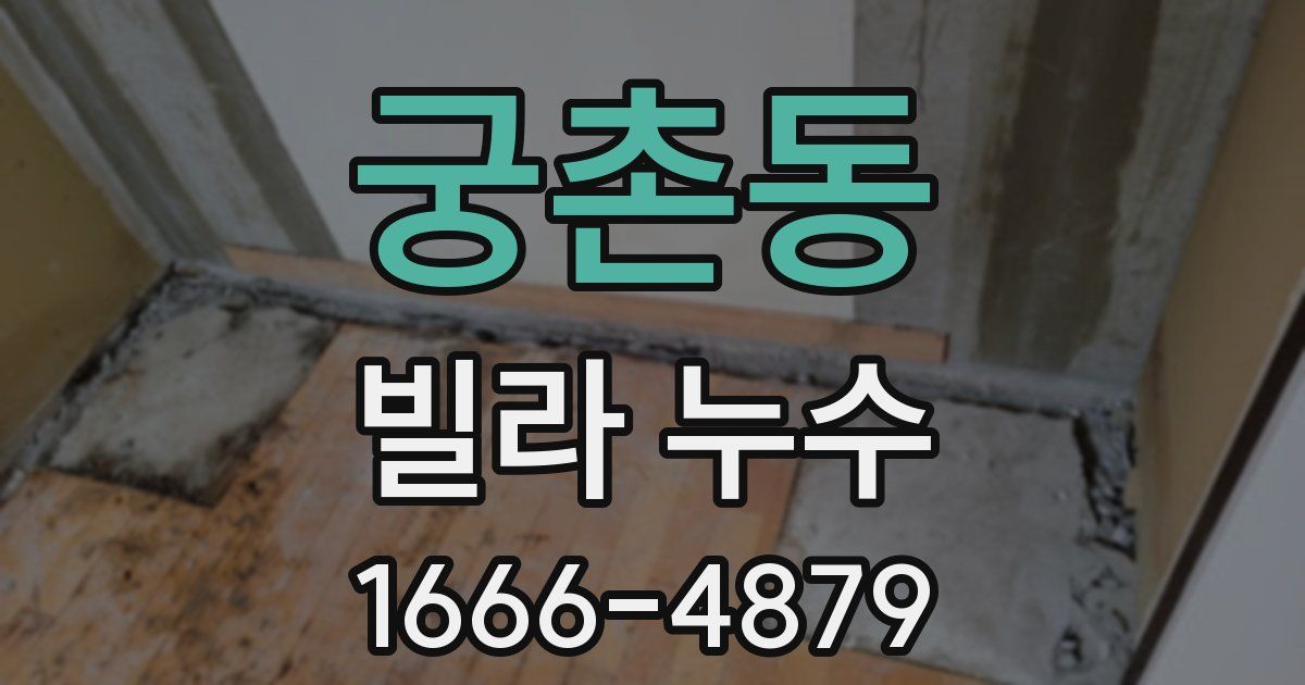궁촌동 빌라 누수