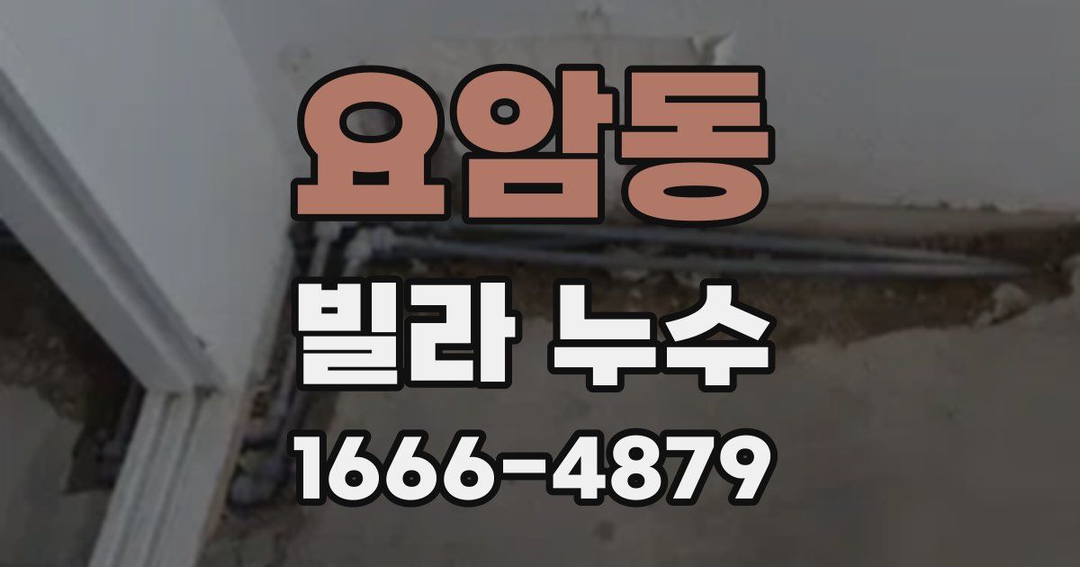 요암동 빌라 누수