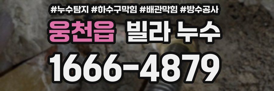 웅천읍 빌라 누수