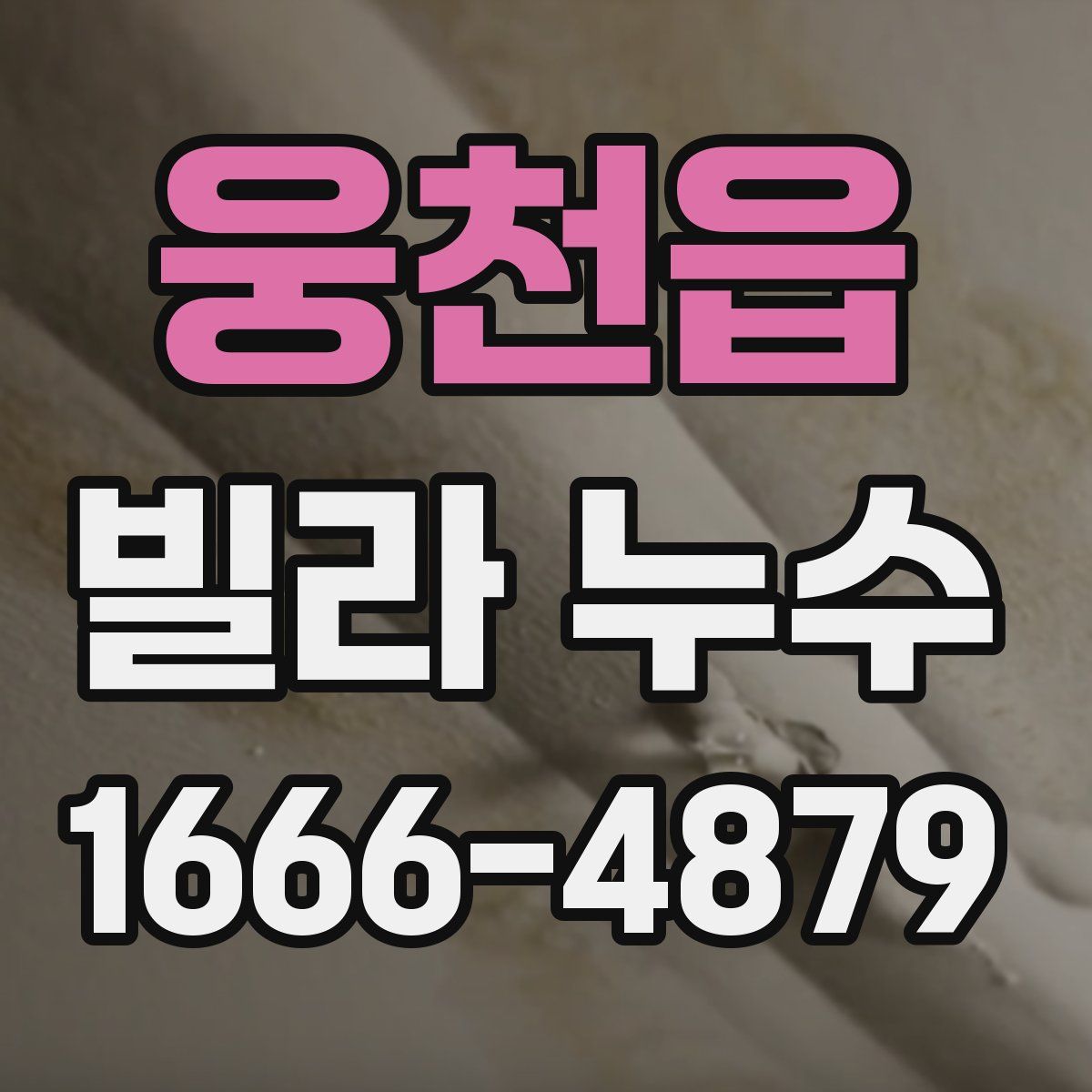 웅천읍 빌라 누수