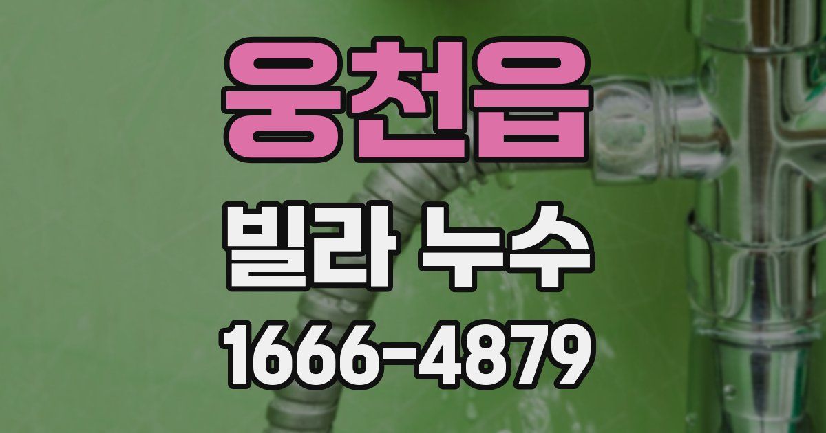 웅천읍 빌라 누수