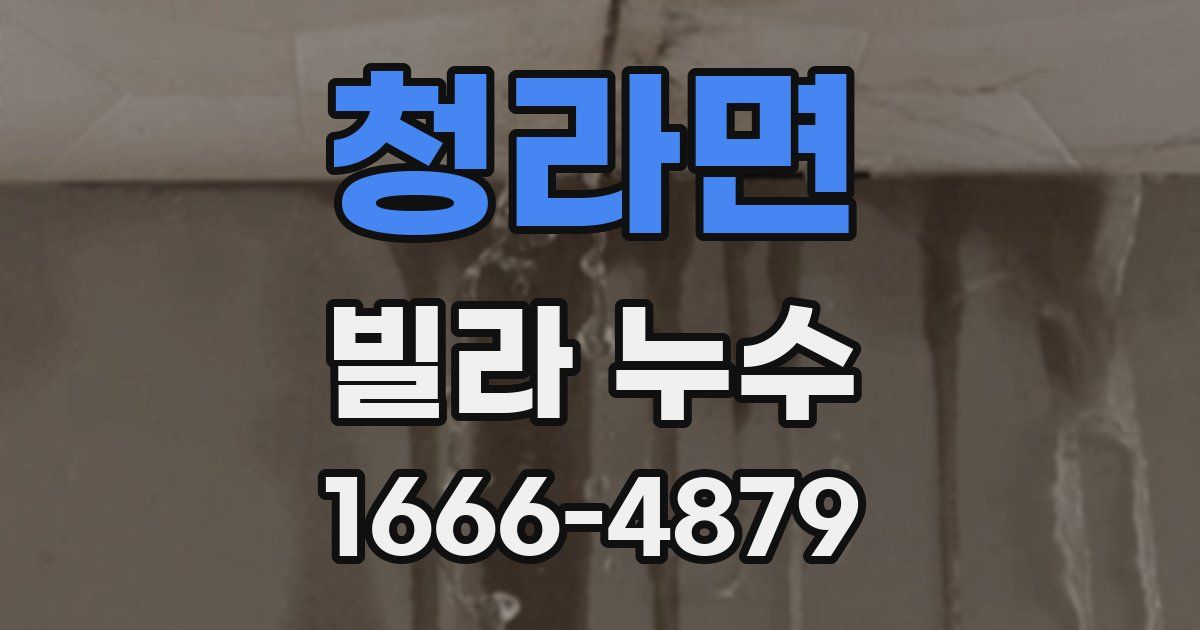청라면 빌라 누수