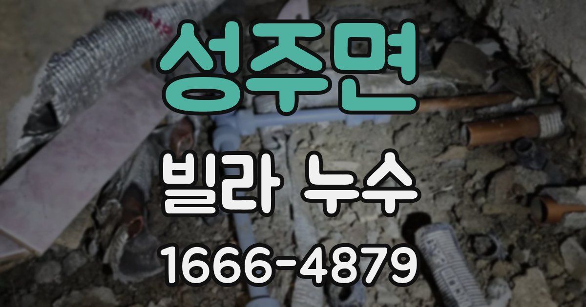 성주면 빌라 누수