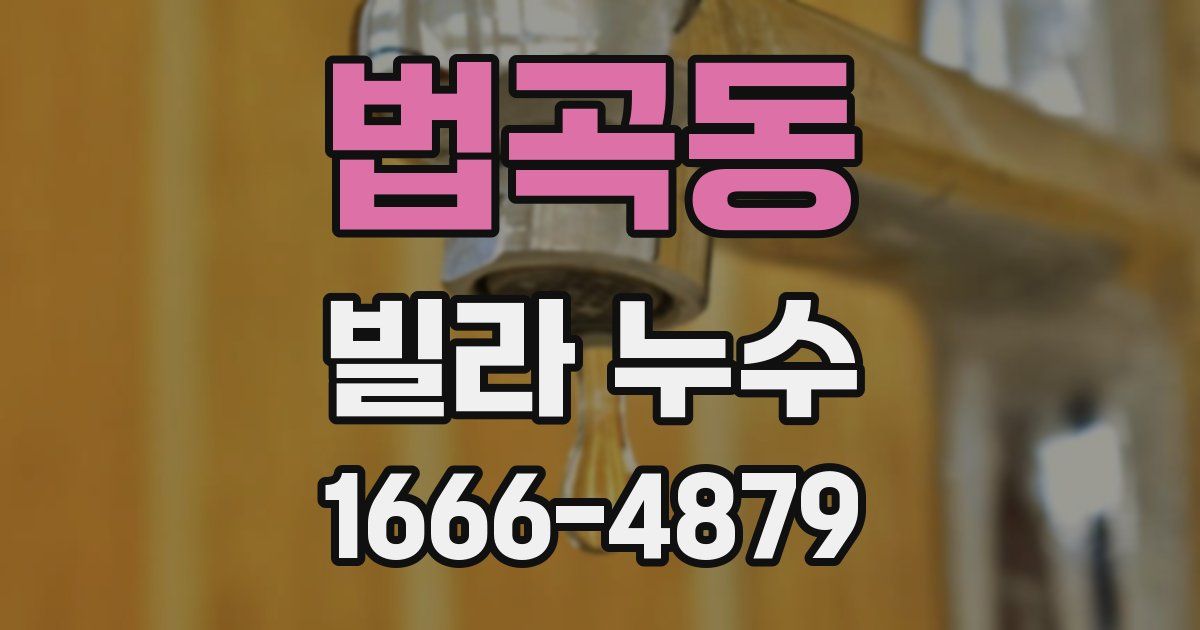 법곡동 빌라 누수