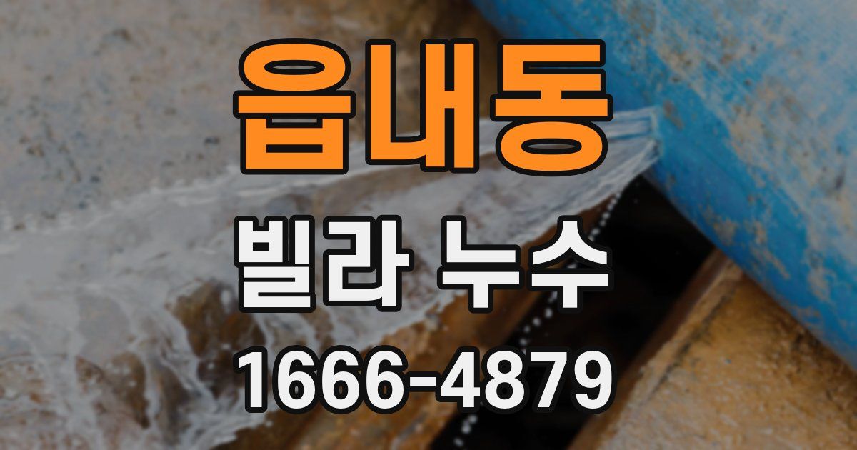 읍내동 빌라 누수