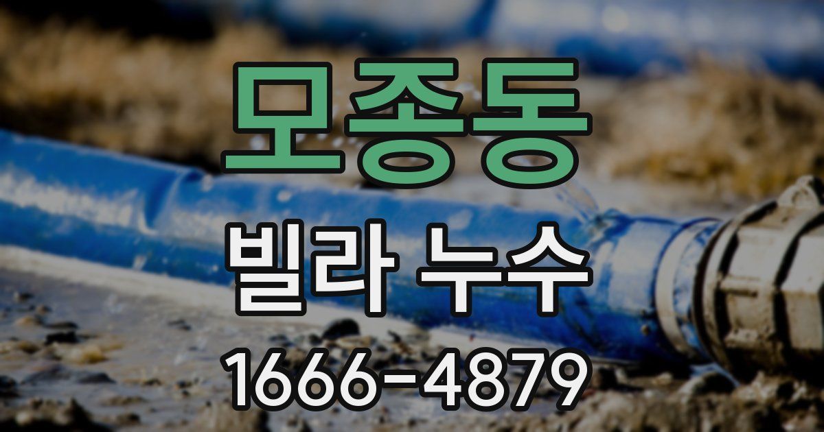 모종동 빌라 누수