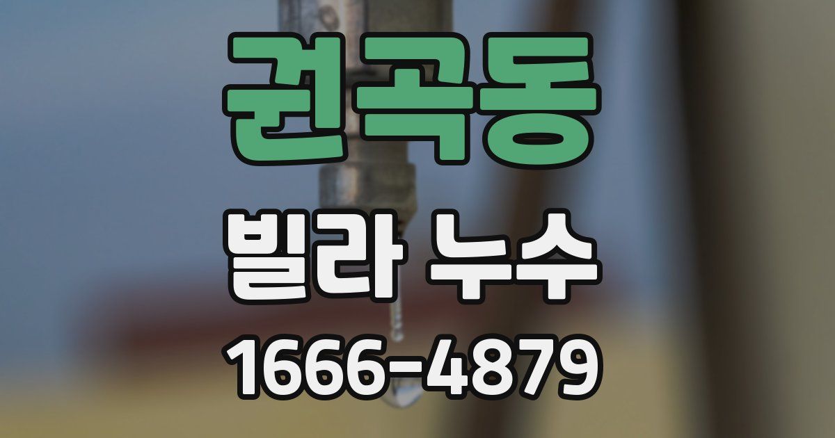 권곡동 빌라 누수