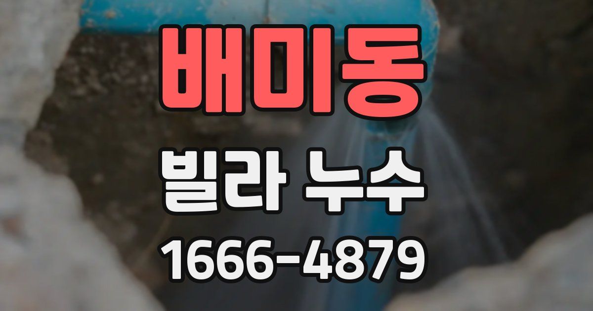 배미동 빌라 누수