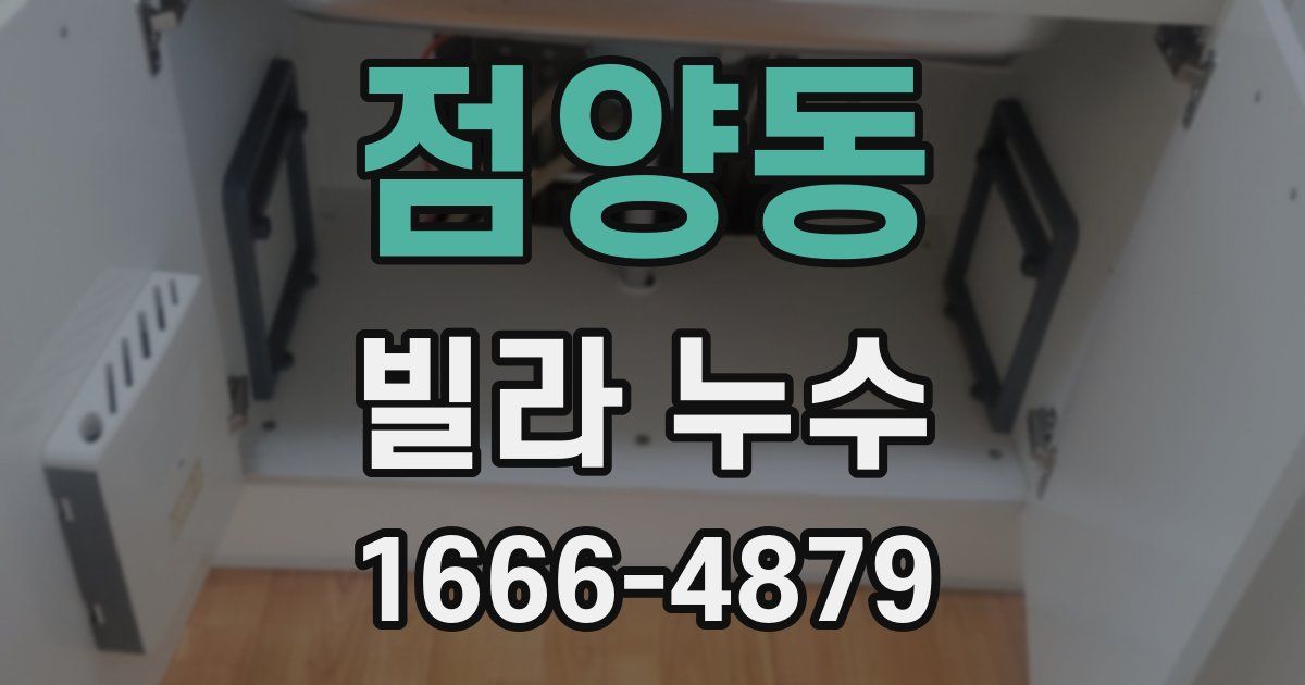 점양동 빌라 누수