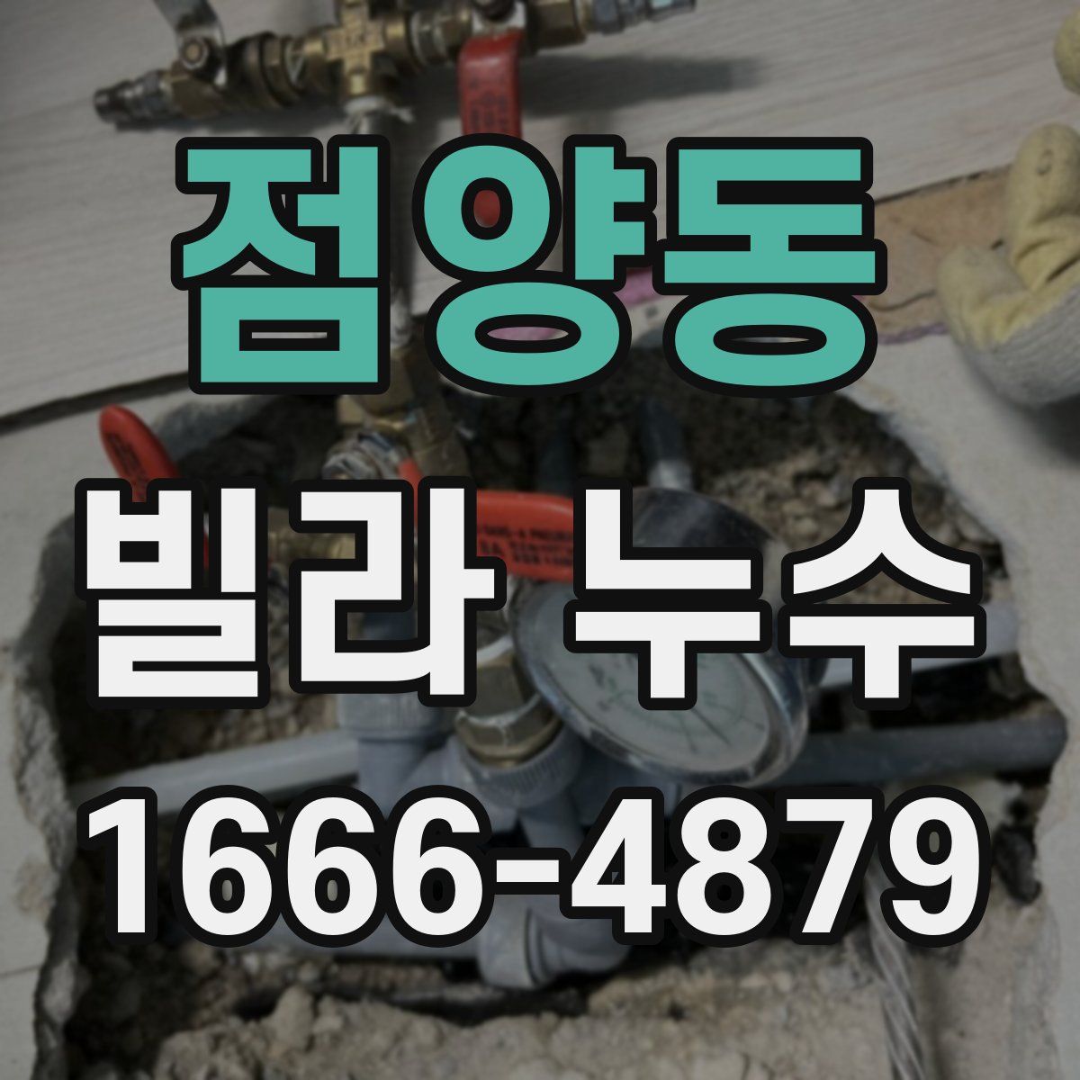 점양동 빌라 누수