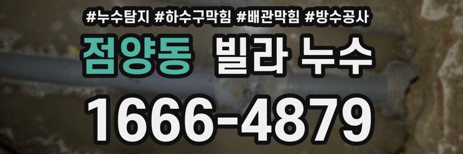 점양동 빌라 누수