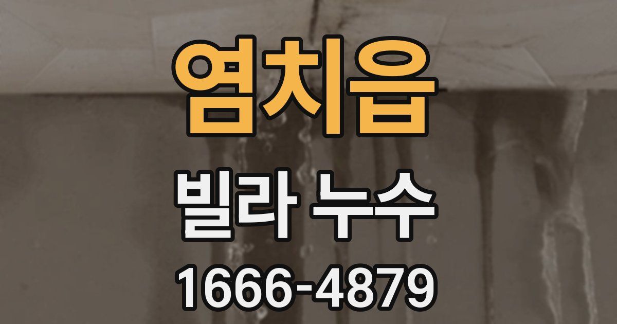 염치읍 빌라 누수