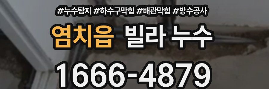 염치읍 빌라 누수