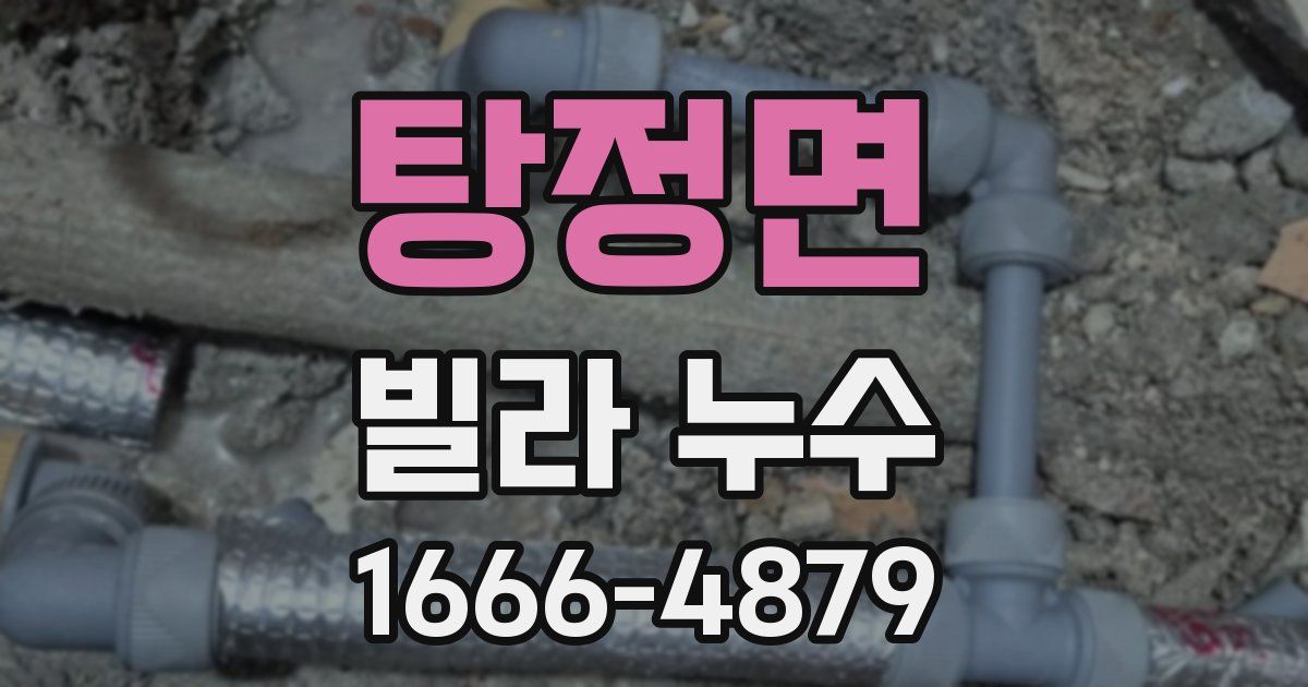 탕정면 빌라 누수