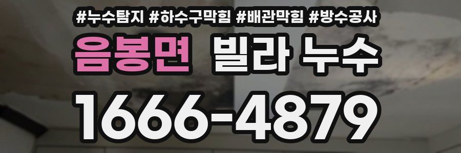 음봉면 빌라 누수