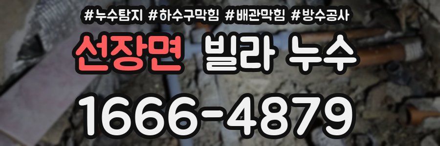 선장면 빌라 누수