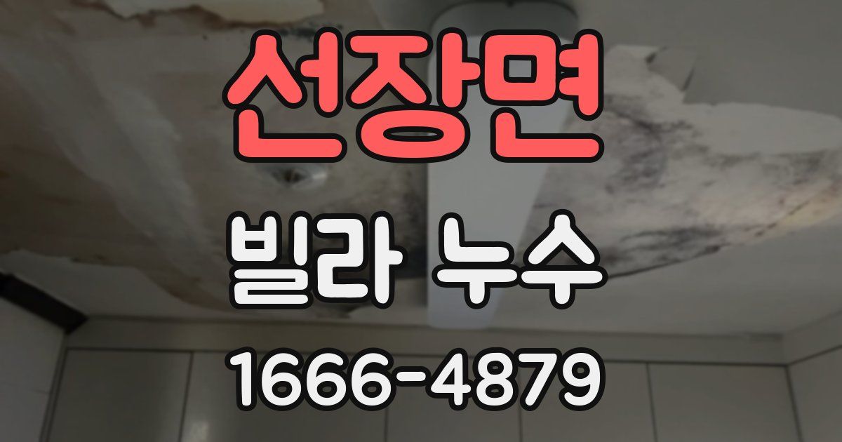 선장면 빌라 누수