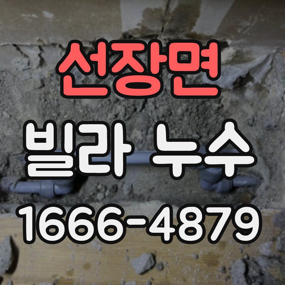 선장면 빌라 누수