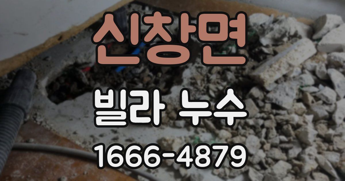 신창면 빌라 누수
