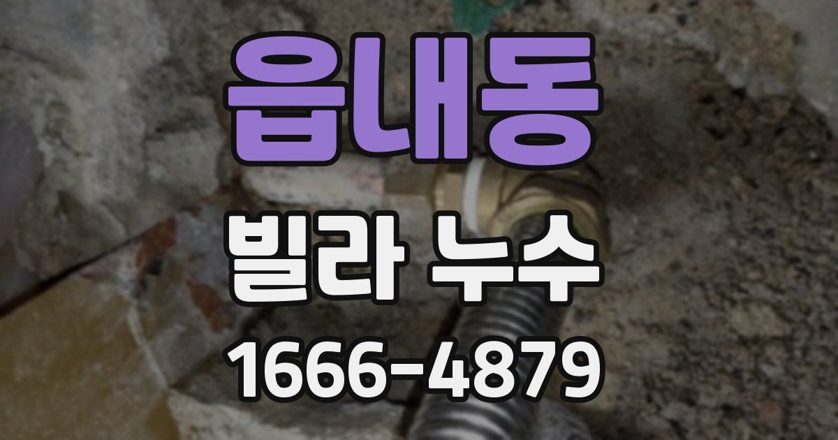 읍내동 빌라 누수