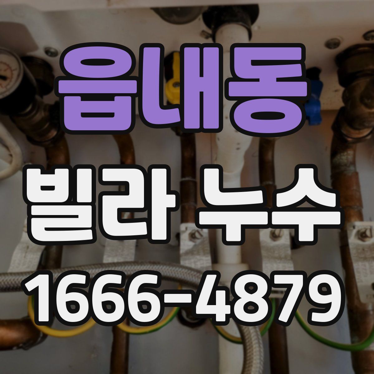 읍내동 빌라 누수