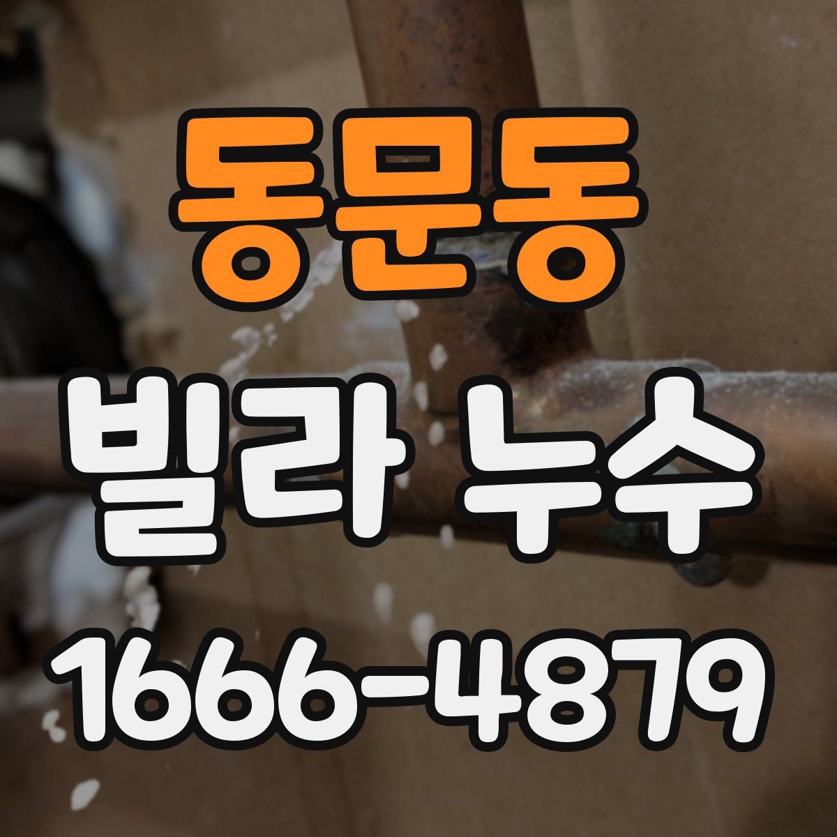 동문동 빌라 누수
