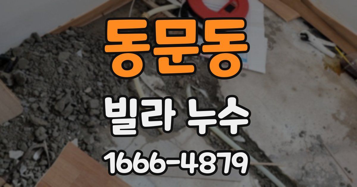 동문동 빌라 누수