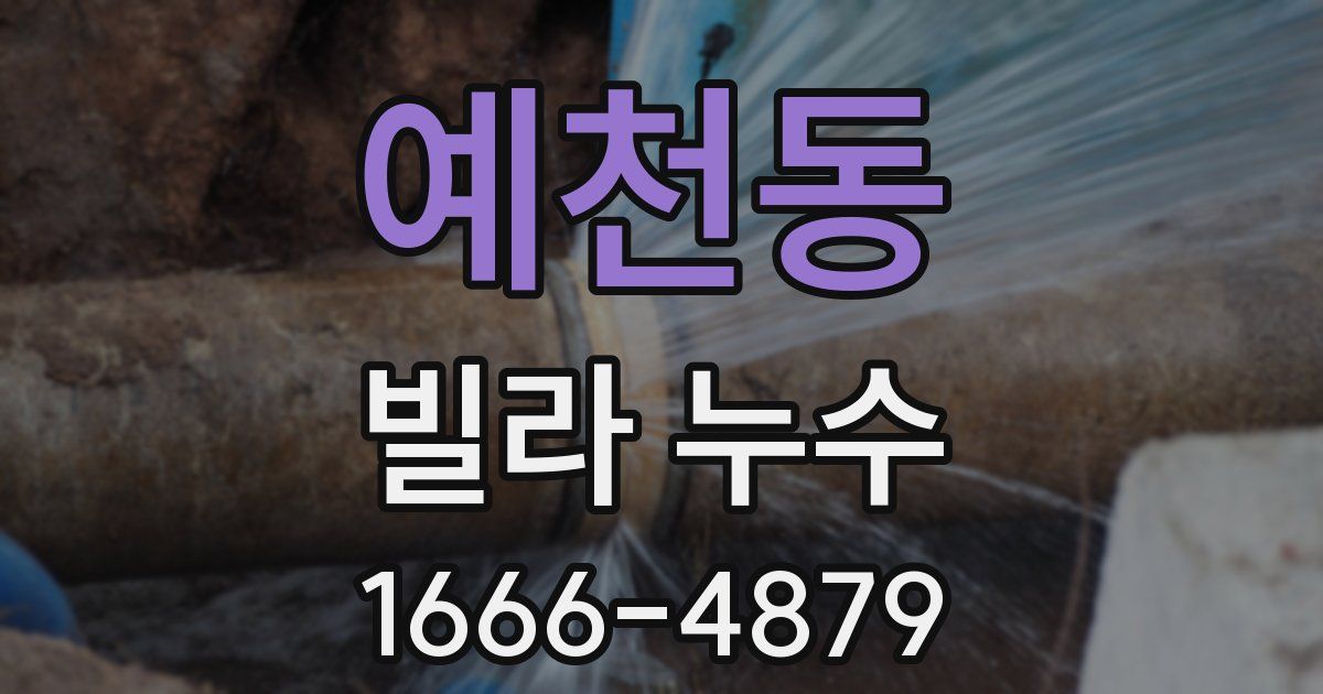 예천동 빌라 누수