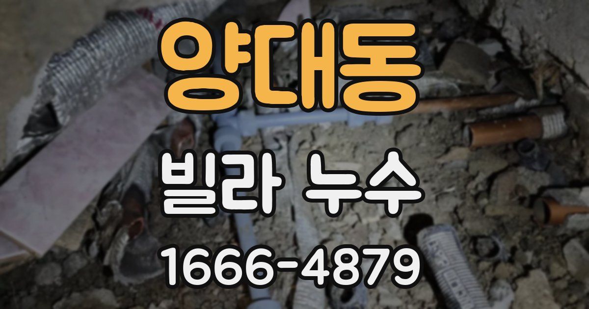 양대동 빌라 누수
